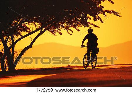 Stock Photo - A person cycling at sunset. Fotosearch