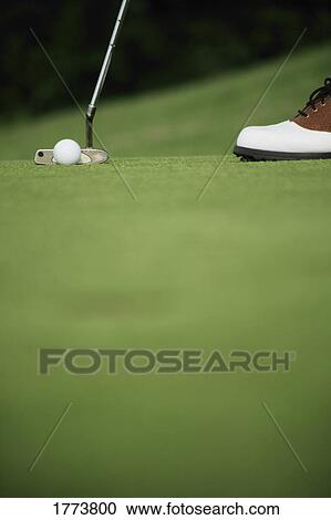 Stock Image - About to putt. Fotosearch
