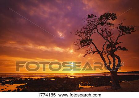 Stock Photography - Beautiful sunset. Fotosearch