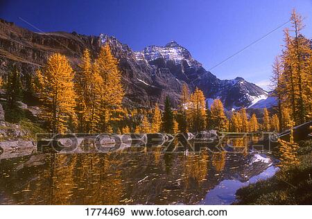 Breathtaking mountain scenery View Large Photo Image Stock Photo - Breathtaking mountain scenery. Fotosearch