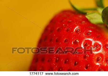 Close up of a strawberry View Large Photo Image Stock Photo - Close up of a strawberry. Fotosearch