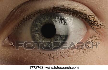 Stock Photo - Close up of eye. Fotosearch