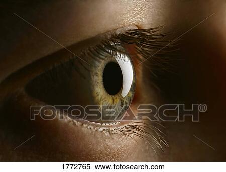 Close up of eye View Large Photo Image Stock Photography - Close up of eye. Fotosearch