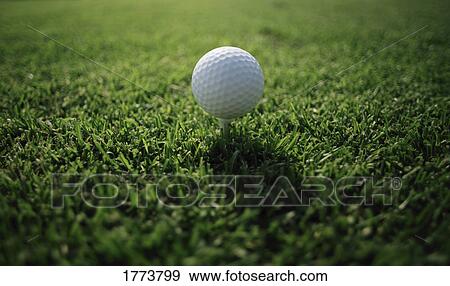 close up of golf ball on tee View Large Photo Image Stock Photo - close up of golf ball on tee. Fotosearch