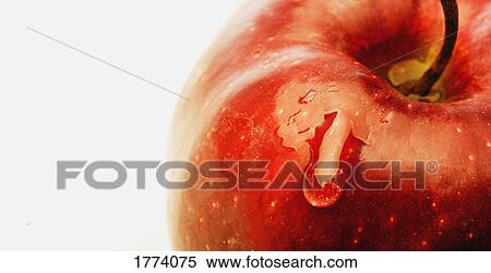 Stock Photography - Close up of red apple. Fotosearch