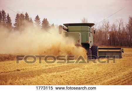 Combine harvester working View Large Photo Image Stock Photography - Combine harvester working. Fotosearch