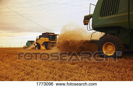 Combine harvesters at work View Large Photo Image Stock Photograph - Combine harvesters at work. Fotosearch