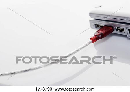 Computer connector and cable View Large Photo Image Stock Image - Computer connector and cable. Fotosearch