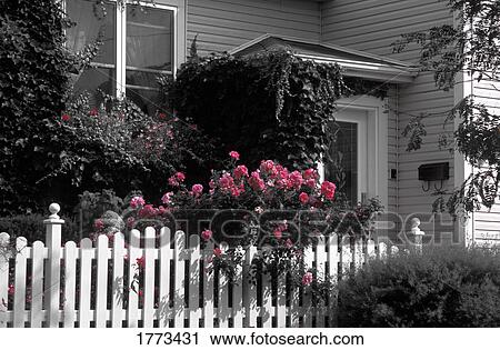 Exterior of house with flowering plants View Large Photo Image Stock Image - Exterior of house with flowering plants. Fotosearch