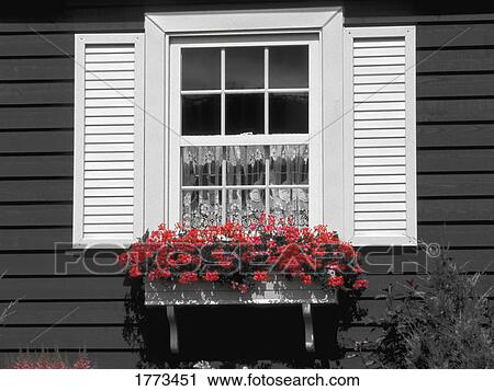 Stock Image - Exterior window and flowering window box. Fotosearch