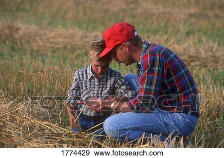 Father and son looking at the crop View Large Photo Image Stock Photo - Father and son looking at the crop. Fotosearch