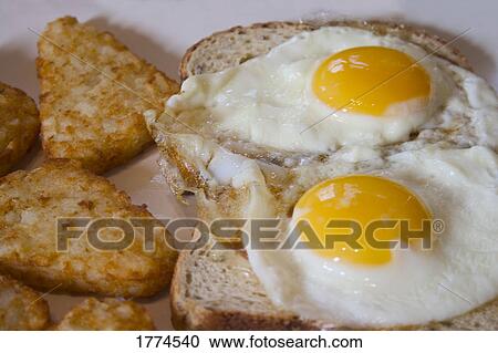 Fried eggs and hash browns View Large Photo Image Stock Image - Fried eggs and hash browns. Fotosearch