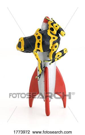 Frog and toy rocket View Large Photo Image Stock Image - Frog and toy rocket. Fotosearch
