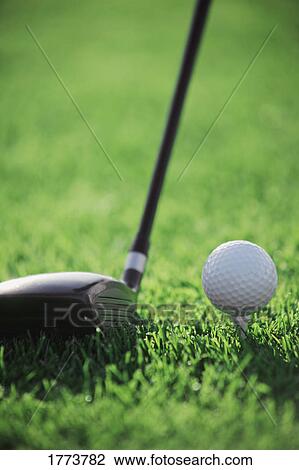 Golf ball and club head View Large Photo Image Stock Image - Golf ball and club head. Fotosearch