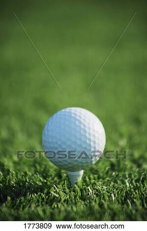 Stock Photo - Golf ball on tee. Fotosearch
