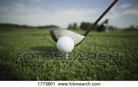 golf ball tee and club View Large Photo Image Stock Image - golf ball tee and club. Fotosearch