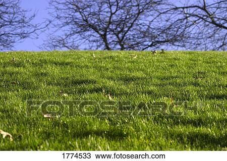 Grassy hill View Large Photo Image Stock Image - Grassy hill. Fotosearch