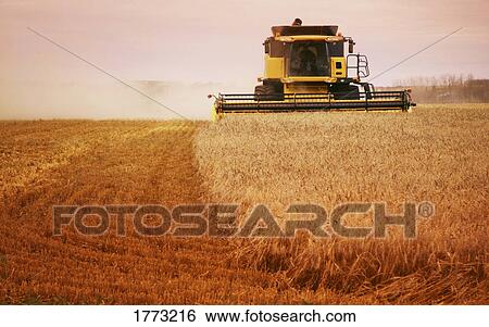 Stock Photograph - Harvester at work. Fotosearch