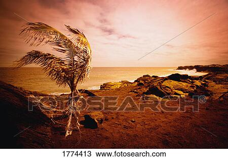 Stock Image - High wind. Fotosearch