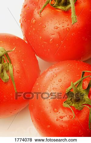 Stock Photo - Juicy ripe tomatoes. Fotosearch