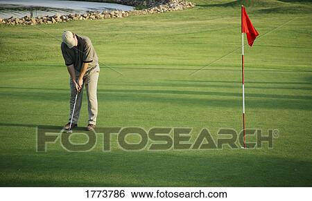 Lining up a putt View Large Photo Image Stock Photograph - Lining up a putt. Fotosearch