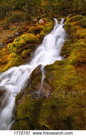 Mossy waterfall View Large Photo Image Stock Photo - Mossy waterfall. Fotosearch
