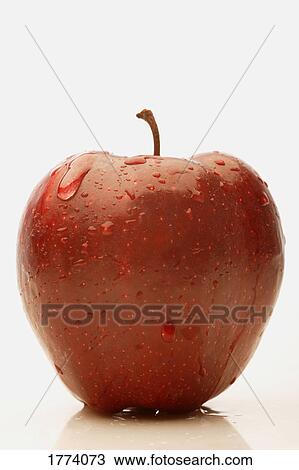 Perfect red apple View Large Photo Image Stock Image - Perfect red apple. Fotosearch