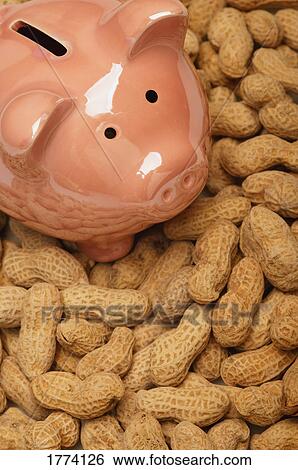 Piggy bank and peanuts View Large Photo Image Stock Photograph - Piggy bank and peanuts. Fotosearch
