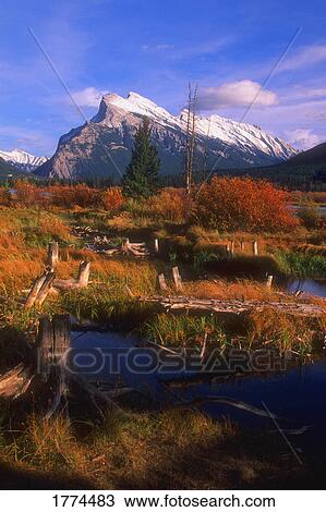 Stock Image - Quiet mountain scenery. Fotosearch