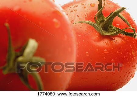Ripe tomatoes View Large Photo Image Stock Image - Ripe tomatoes. Fotosearch