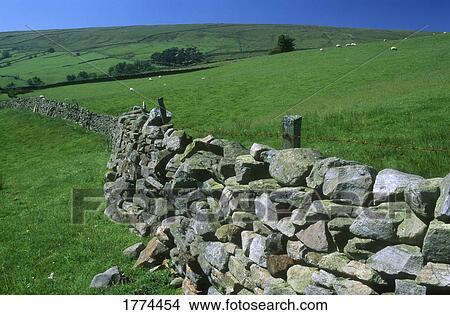 Rolling farmland View Large Photo Image Picture - Rolling farmland. Fotosearch