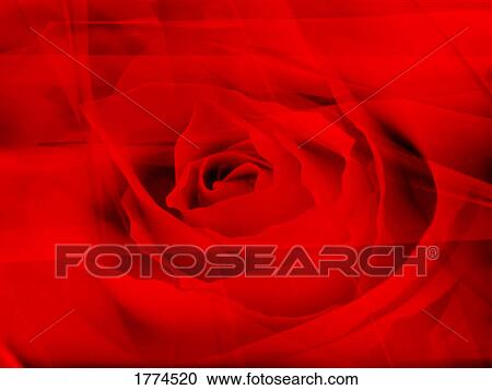 Rose View Large Photo Image Stock Image - Rose. Fotosearch