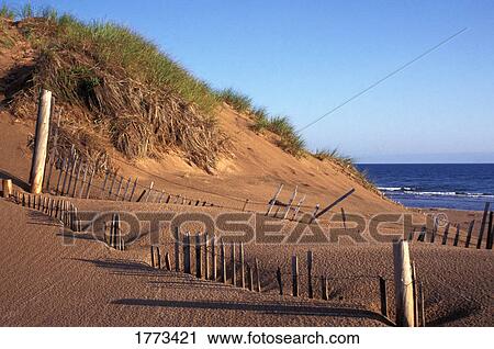 Sand dunes and shore View Large Photo Image Stock Image - Sand dunes and shore. Fotosearch