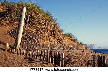 Stock Photo - Sand dunes. Fotosearch
