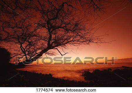 Sun setting/rising on water View Large Photo Image Picture - Sun setting/rising on water. Fotosearch