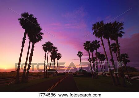 Sunset/rise over roadway View Large Photo Image Stock Photograph - Sunset/rise over roadway. Fotosearch