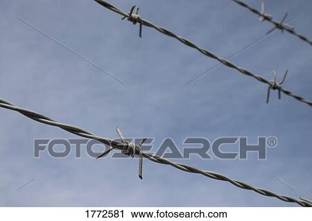 Three strands of barbed wire View Large Photo Image Stock Image - Three strands of barbed wire. Fotosearch