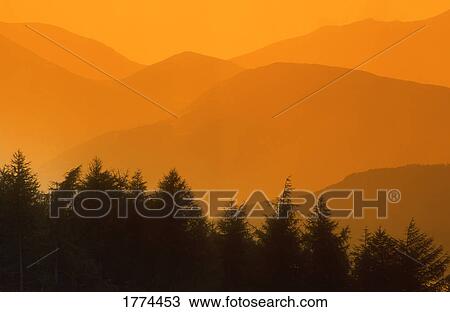Trees silhouetted against amber hills View Large Photo Image Stock Image - Trees silhouetted against amber hills. Fotosearch