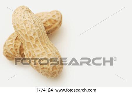 Picture - Unshelled peanuts. Fotosearch