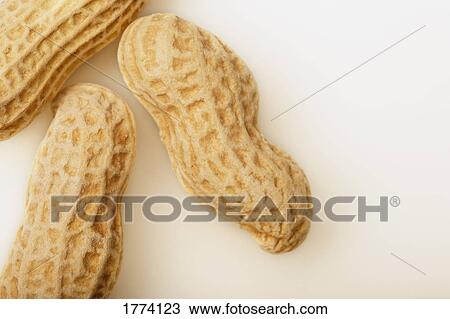 Unshelled peanuts View Large Photo Image Stock Image - Unshelled peanuts. Fotosearch