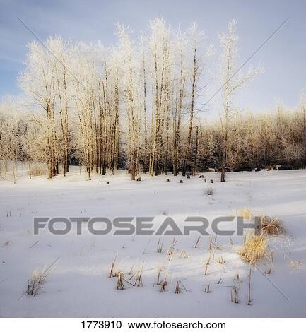 Stock Image - Winter's day in the country. Fotosearch