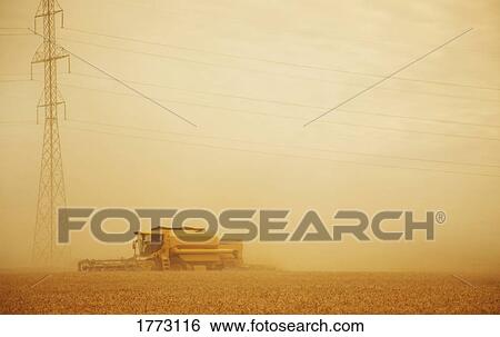 Working the land View Large Photo Image Stock Photograph - Working the land. Fotosearch