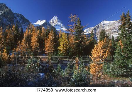 Stock Photo - Autumn forest and mountain range. Fotosearch