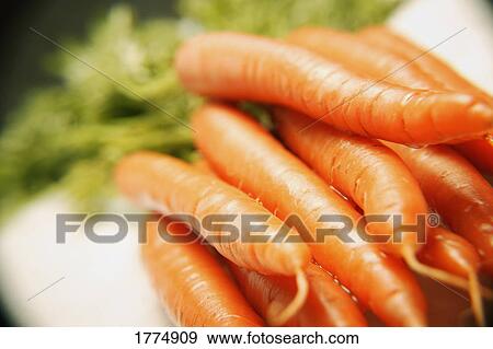 Bunch of fresh carrots View Large Photo Image Stock Photo - Bunch of fresh carrots. Fotosearch