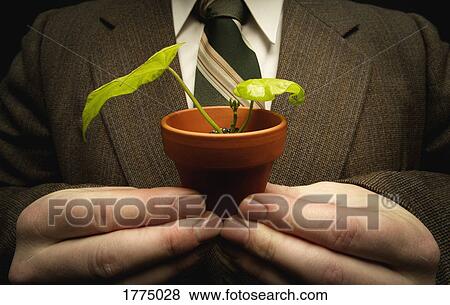 Stock Photo - Businessman holding a bean plant in a pot. Fotosearch