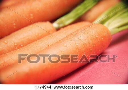Picture - Close up of fresh carrots. Fotosearch