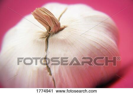 Clove of garlic View Large Photo Image Stock Image - Clove of garlic. Fotosearch