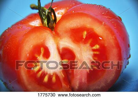Cut tomato View Large Photo Image Stock Image - Cut tomato. Fotosearch