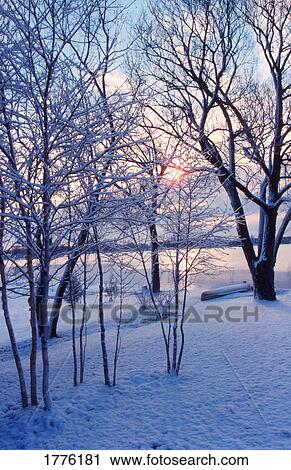 Deep snow in the countryside View Large Photo Image Stock Image - Deep snow in the countryside. Fotosearch