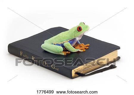 Stock Photo - Frog on a Bible. Fotosearch